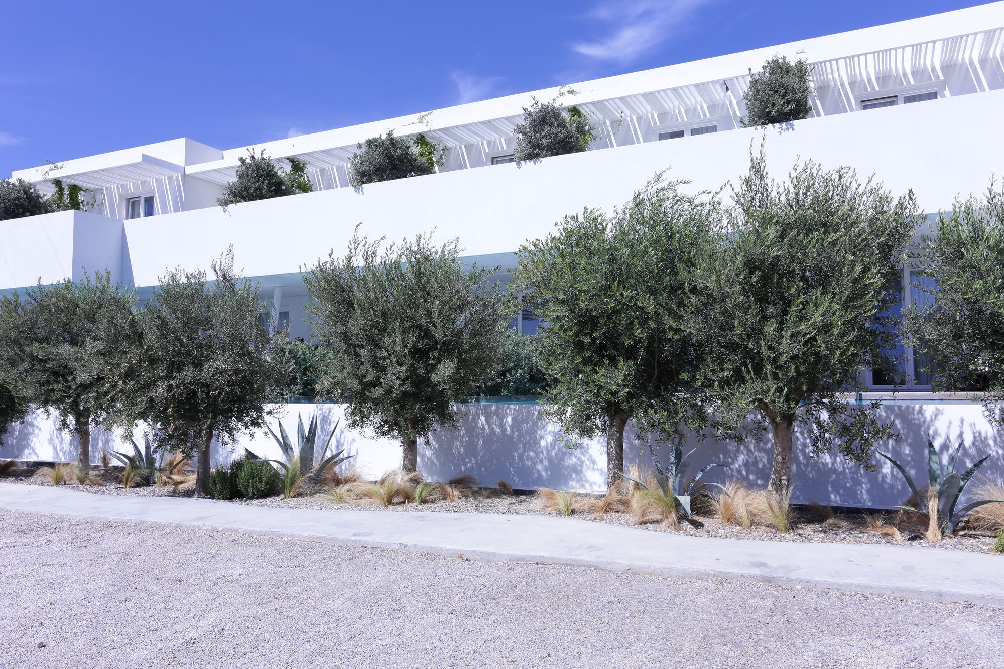 Mykonos Dove Beachfront Hotel Platys Gialos  Dış mekan fotoğraf