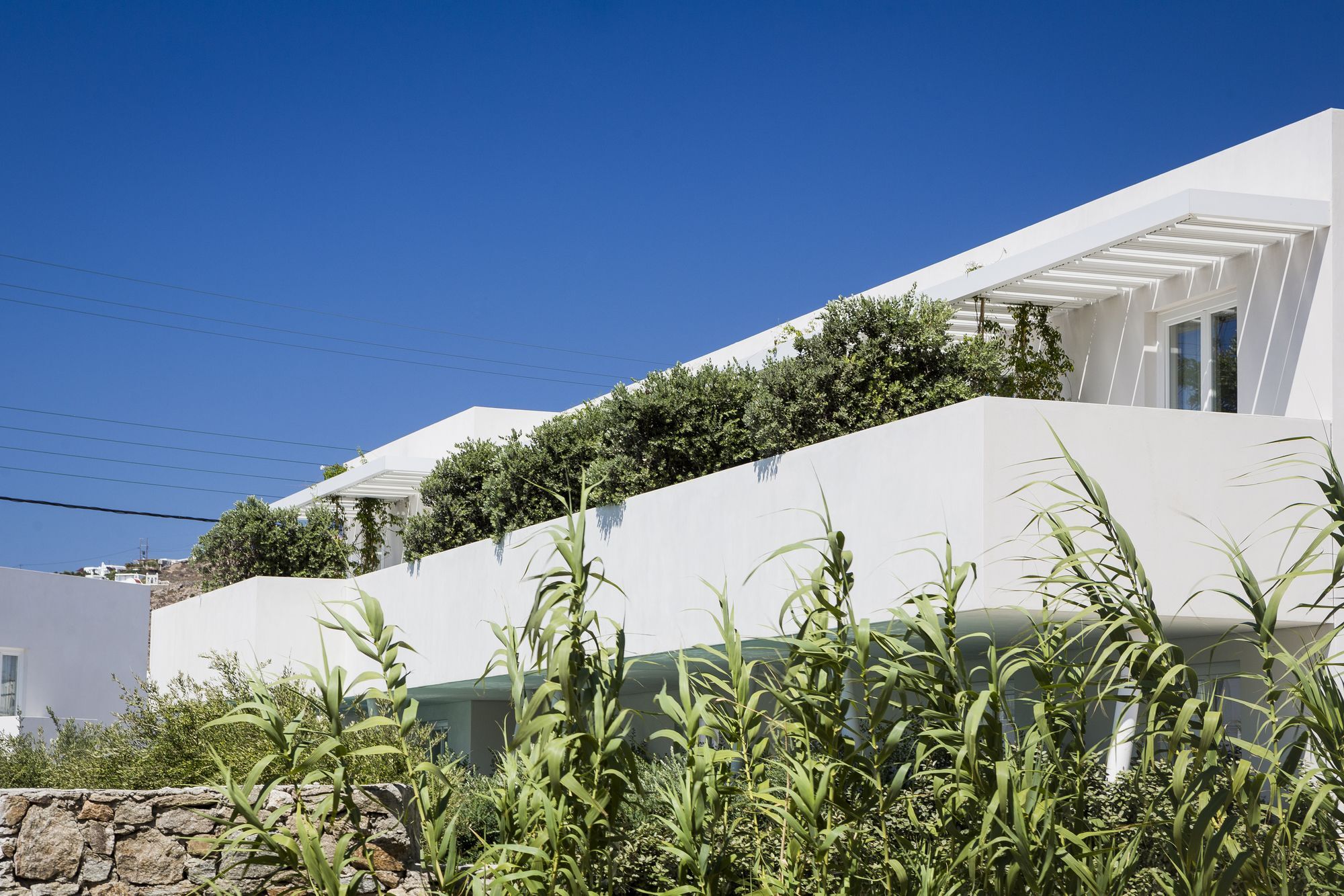 Mykonos Dove Beachfront Hotel Platys Gialos  Dış mekan fotoğraf